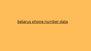 belarus phone number data 